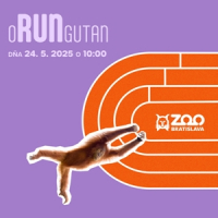 oRUNgutan